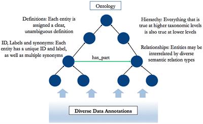 From Affective Science to Psychiatric Disorder: Ontology as a Semantic Bridge